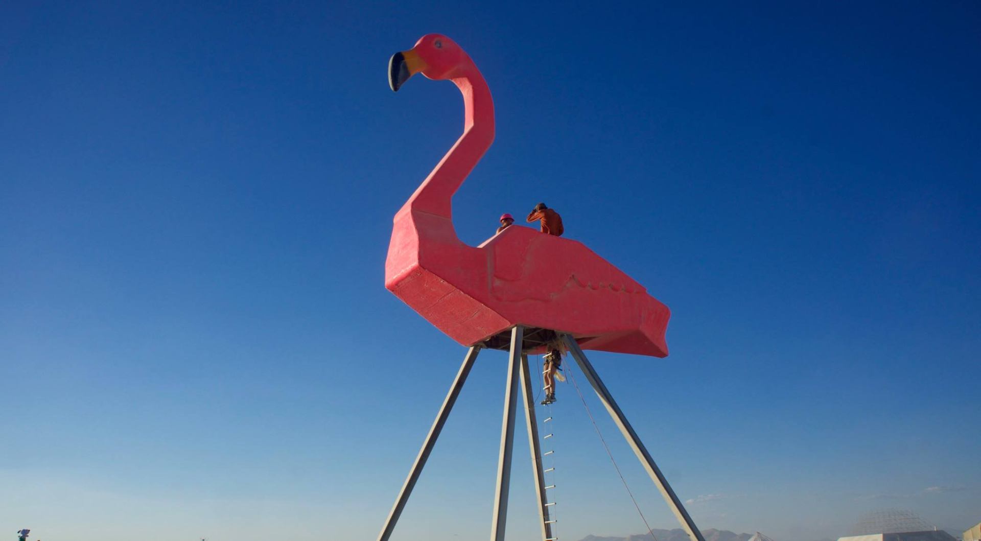 Building the flamingo